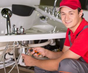 About Emergency plumbing pros Scandinavia, WI